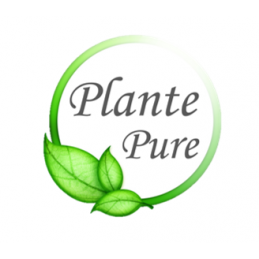 plante pure