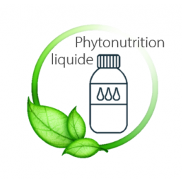 phyto liquide
