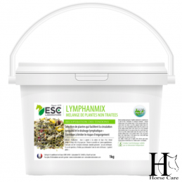 lymphanmix cheval qui engorge horsecarephyto.fr