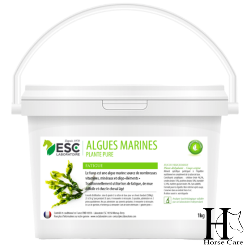 algues marines vitamines et minéraux chevaux horsecarephyto.fr