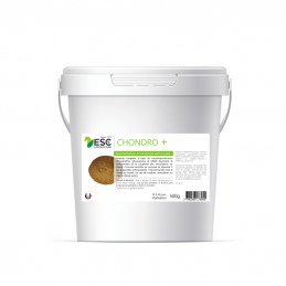 chondro +, chondroprotecteur pour chevaux