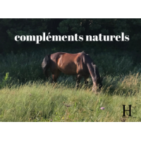 compléments pour chevaux